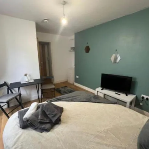 Plush Place Swansea Apartment